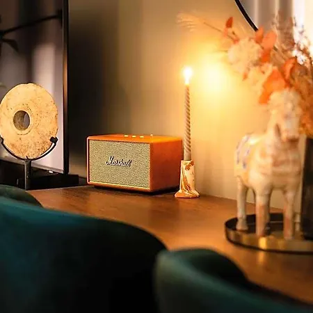 Accordion Boutique & Premium